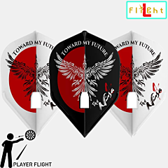 Pikado pera L-style "Seigo Asada" V6 Shape L3-PRO MIX PIKADO.shop®1