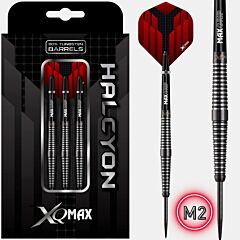 Pikado strelice XQMax / Halcyon / M2 /  steel tip PIKADO.shop®1
